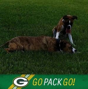 Meet your Posher, Gary